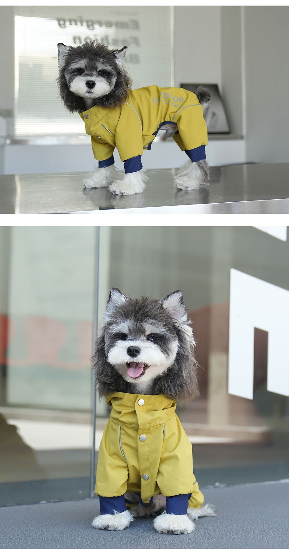 Dog Raincoat Outdoor  Four-Legged Jacket